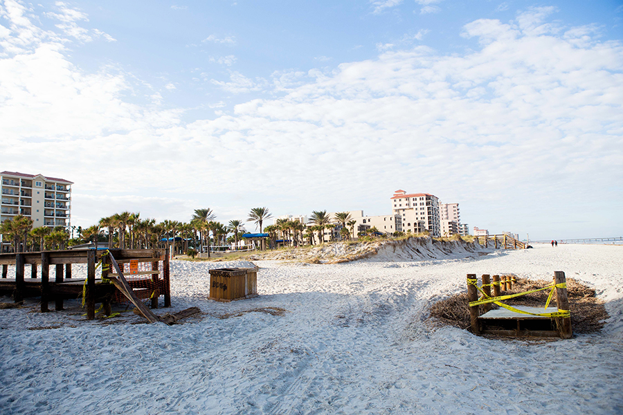 Jacksonville Beach Sand Dunes