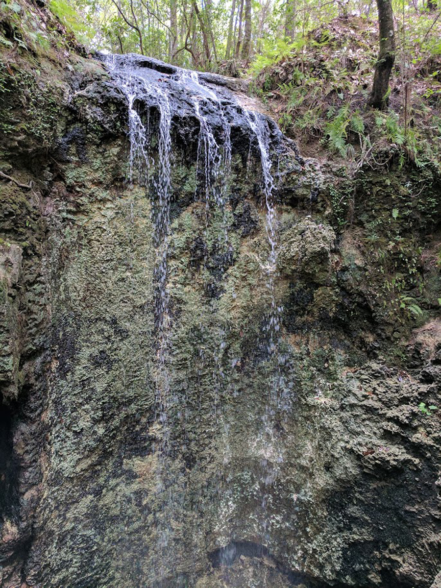 Falling Water State Park Florida