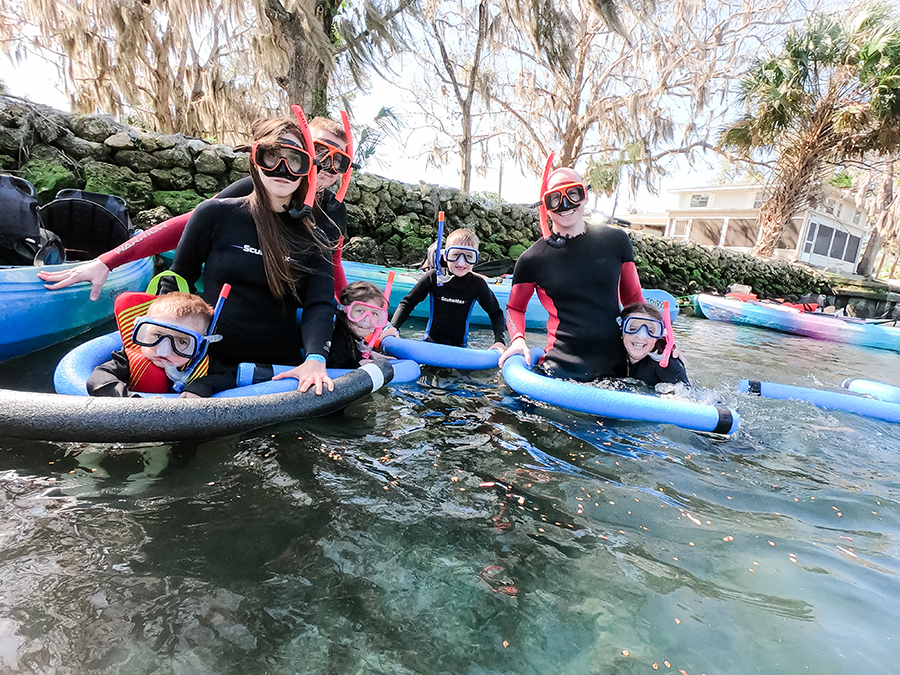 Snorkeling with Manatees