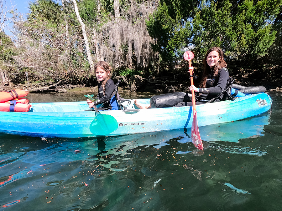Snorkeling Kayaking with Manatees