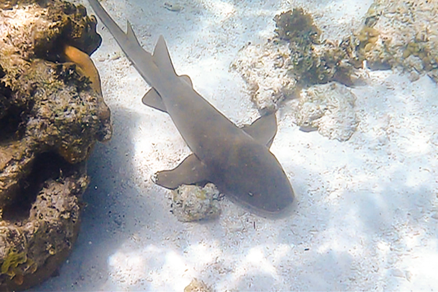 biscayne national underwater park