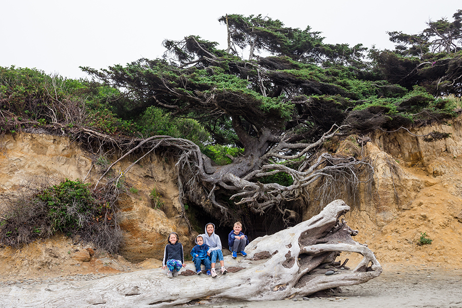 Olympic National Park with Kids
