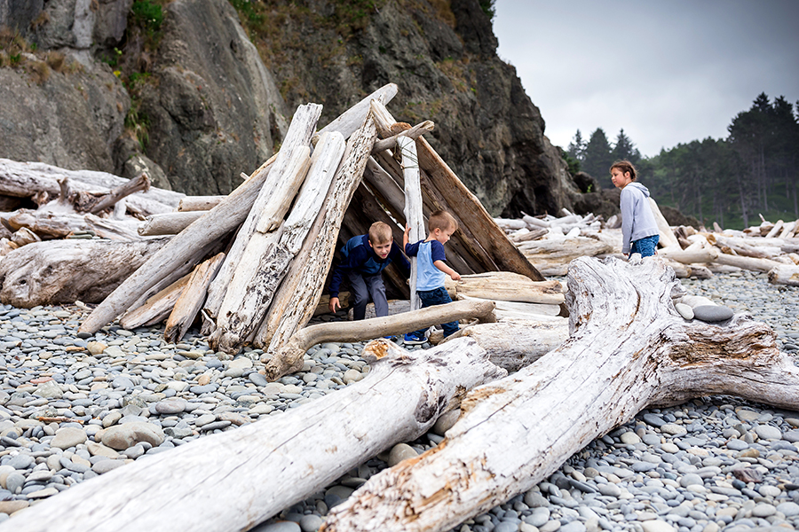 Visit Olympic National Park with Kids