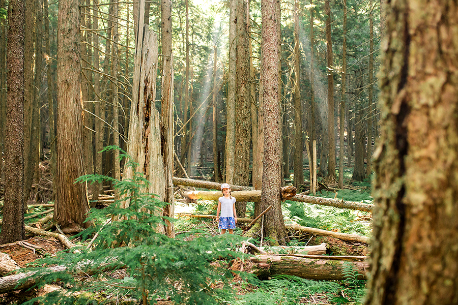 Two Days in Glacier National Park with Kids. Trail of the Cedars.