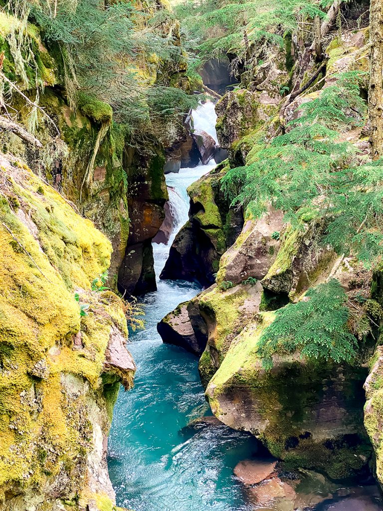 Two Days in Glacier National Park with Kids. Trail of the Cedars