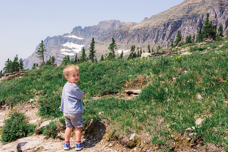 Two Days in Glacier National Park with Kids. Hidden Lake Trail. Hidden Lake Trail Overlook 