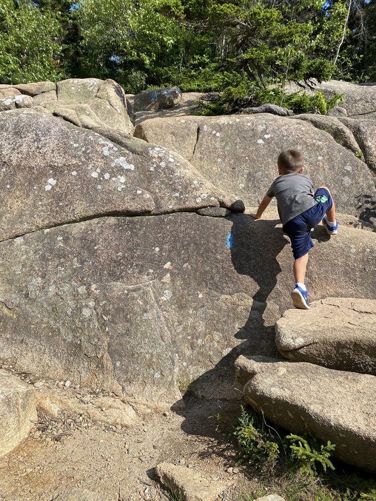 Acadia National Park with kids