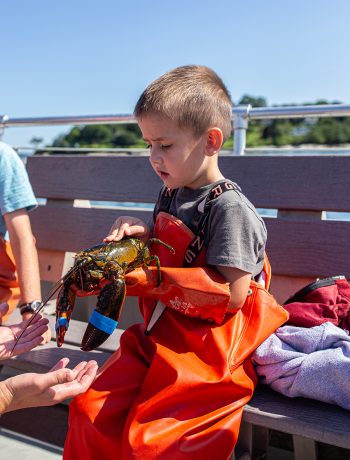 Lighthouses, Lobsters, L.L. bean Lumber Jacks. Lucky Catch Cruises Maine