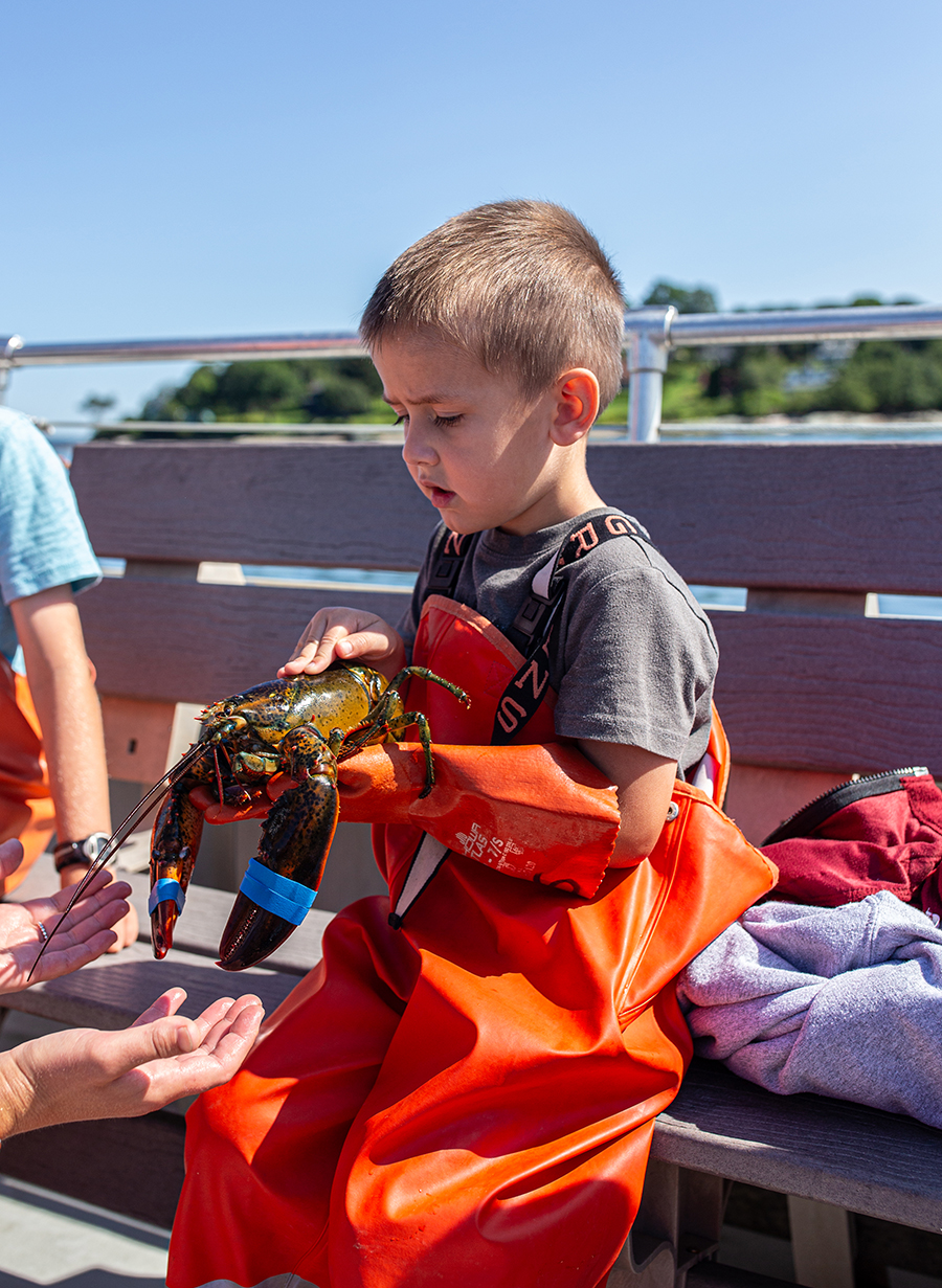 Lighthouses, Lobsters, L.L. bean Lumber Jacks. Lucky Catch Cruises Maine